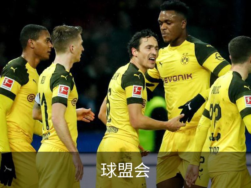 球盟会介绍